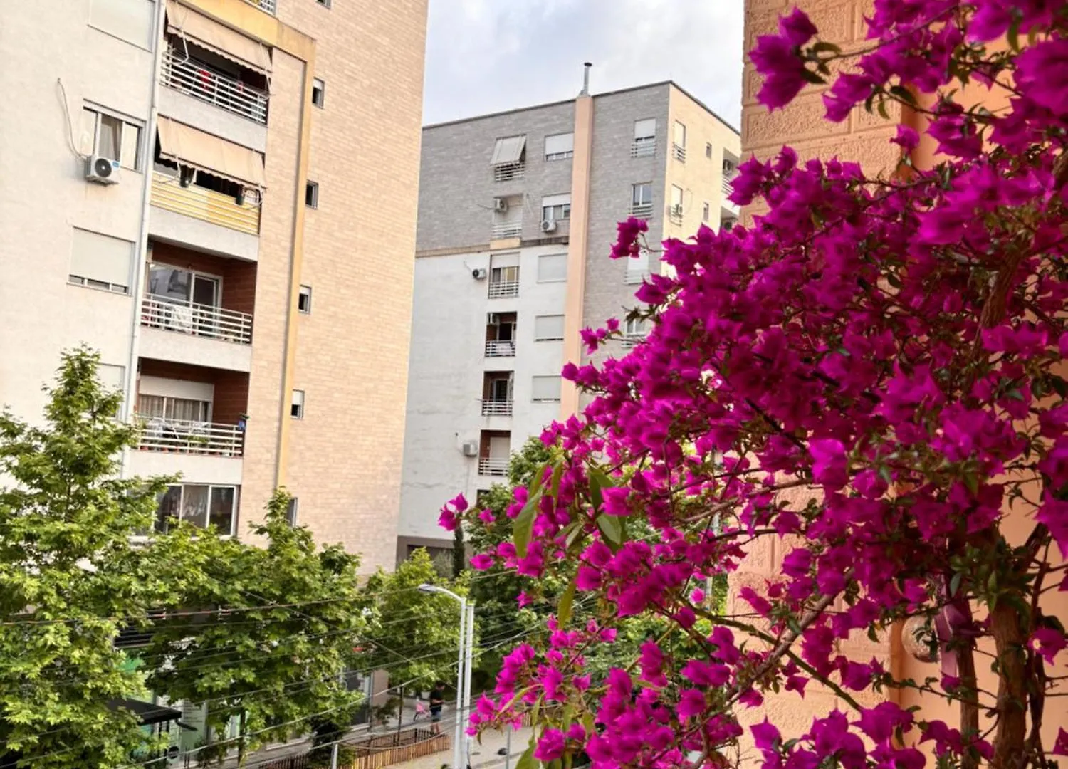 Meda'S Apartment Tirana